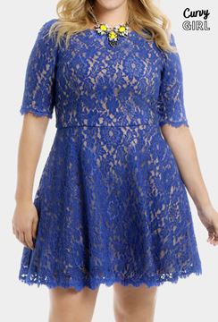 Picture of CURVY GIRL LACE NUDE ILLUSION SKATER DRESS